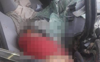 F. Varela: un hombre murió al chocar contra un árbol