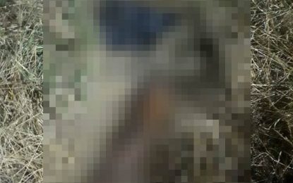 F. Varela: hallaron restos humanos en Villa Argentina