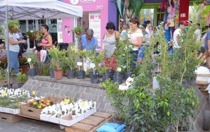 F. Varela: nueva jornada de promoción florícola en la Peatonal Monteagudo