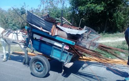 Tracción a sangre en Quilmes: aprehendieron a dos carreros