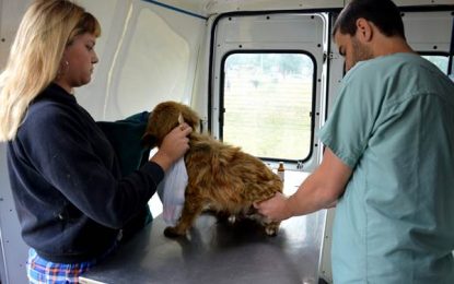 F. Varela: el móvil veterinario estará en Villa Angélica y Villa Mónica