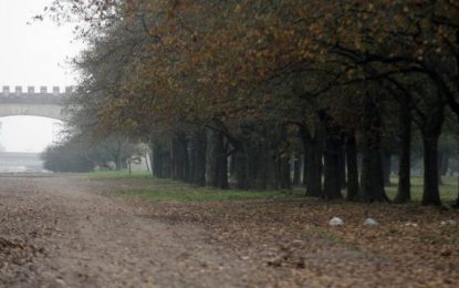 Asalto en el Parque Pereyra: se robaron equipos de filmación valuados en 320 mil pesos