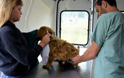 F. Varela: el móvil veterinario estará en Villa Cirio y Chacabuco