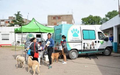 F. Varela: atención veterinaria gratuita en General Belgrano y San Eduardo