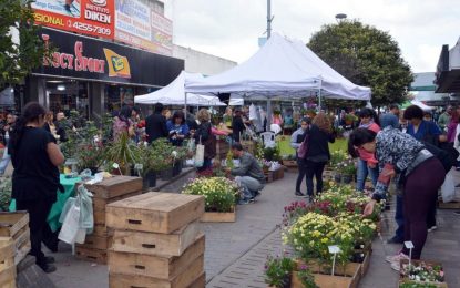 F. Varela: jueves de promoción florícola en la Peatonal Monteagudo