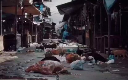 Son argentinos y están varados en el norte de Perú hace un mes: “No tenemos más efectivo”