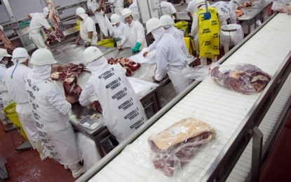 Los envíos de carne vacuna crecieron el primer trimestre 18,6% hasta los US$ 601,2 millones