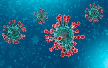 Coronavirus: 24 muertos en un día y 255 nuevos positivos