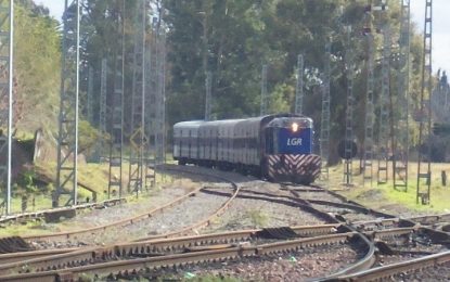Reactivación ferroviaria: estudian la renovación de vías entre Bosques y Villa Elisa y se lanza el ramal Haedo-Caseros
