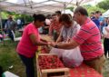 La Fiesta de la Frutilla cambia de escenario en Florencio Varela