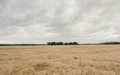 Advierten sobre un probable regreso de «La Niña» en la segunda mitad del año
