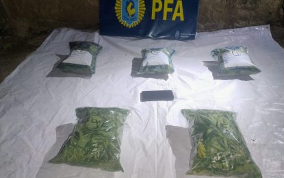 La Policía Federal desmanteló dos puntos de venta de drogas y una mujer quedó detenida