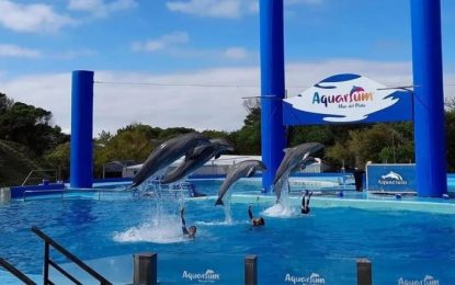 Anunciaron el cierre definitivo de Mar del Plata Aquarium