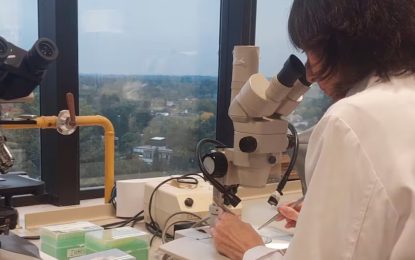 Científicos argentinos logran prevenir el dolor por quimioterapia con cannabis