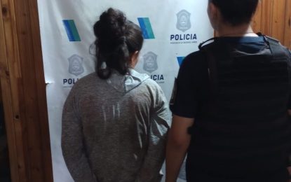 Intentó robar en un comercio y fue aprehendida