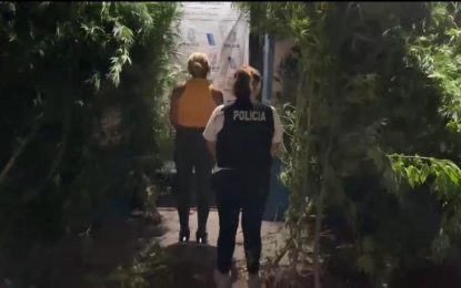 Allanaron una vivienda por un robo y hallaron cinco plantas de marihuana de gran tamaño