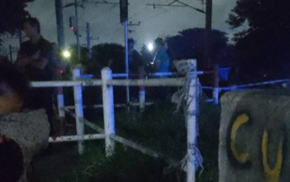 Tragedia en Florencio Varela: un joven de 17 años murió arrollado por un tren en Santa Marta