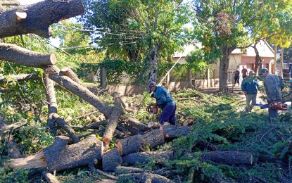 #FlorencioVarela | Intervención de las cuadrillas municipales por riesgo de caída de árboles