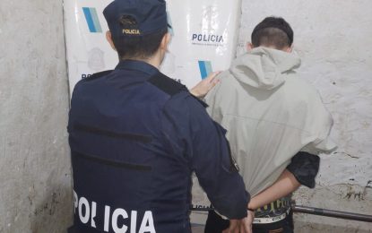 Robaron electrodomésticos en Frávega y huyeron con un carrito de bebé