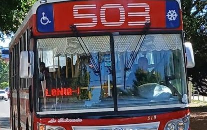 Usuarios del ramal K de la línea 503 reclaman mejoras en el servicio