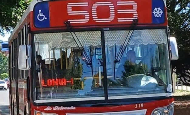 Usuarios del ramal K de la línea 503 reclaman mejoras en el servicio