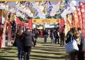 Una tarde de taikos, taiyaki y origami en el Varela Matsuri