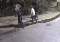 #FlorencioVarela | El Municipio aportó videos a la investigación de un caso por maltrato animal en el distrito