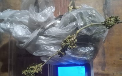 #FlorencioVarela | Dos jóvenes demorados durante un procedimiento policial en Ingeniero Allan