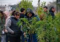 #FlorencioVarela | Forestar, una estrategia para trabajar en comunidad