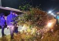 #Berazategui | Detuvieron a cuatro hombres acusados de robar ramas del Parque Pereyra Iraola