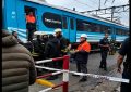 Una mujer murió tras ser arrollada por una formación del Tren Roca