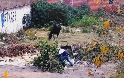 #FlorencioVarela | Detectaron por cámaras a un hombre arrojando basura en La Sirena y le labraron un acta