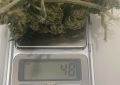 #Berazategui | Pintaban un árbol caído al costado del camino y terminaron imputados por tenencia de marihuana