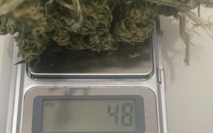 #Berazategui | Pintaban un árbol caído al costado del camino y terminaron imputados por tenencia de marihuana