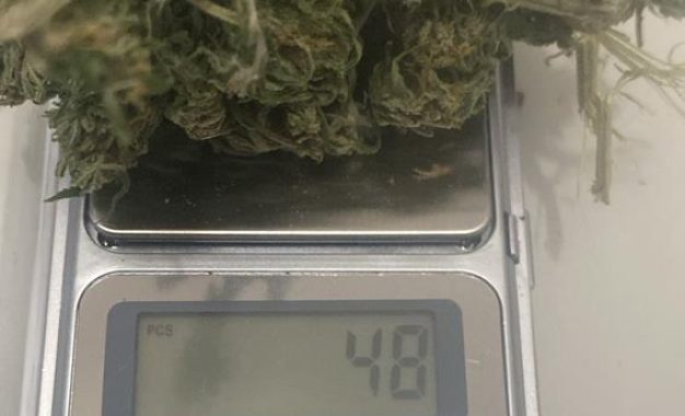 #Berazategui | Pintaban un árbol caído al costado del camino y terminaron imputados por tenencia de marihuana