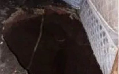 Un socavón se abrió en una casa de Quilmes Oeste y una mujer cayó al pozo