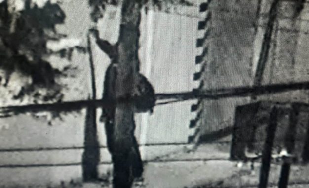 Pintaba espacios públicos, tomó una posición agresiva y quedó detenido