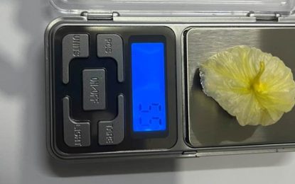Persecución y detención en Berazategui: secuestraron más de 800 gramos de cocaína