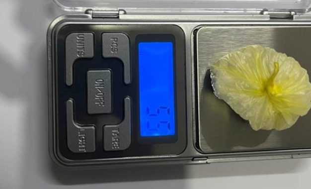 Persecución y detención en Berazategui: secuestraron más de 800 gramos de cocaína