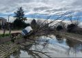 Un camión quedó semivolcado tras el desmoronamiento del terreno junto al arroyo Las Piedras
