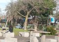 Una mujer murió tras ser embestida por una formación del Roca en Quilmes