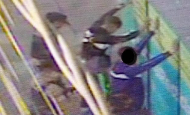 Aprehendidos por hostigar a estudiantes en pleno centro de Florencio Varela