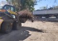 Operativos de limpieza en Bosques e Ingeniero Allan