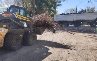 Operativos de limpieza en Bosques e Ingeniero Allan