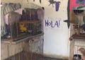 Allanamiento en criadero clandestino y aprehensión de una persona