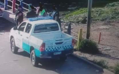 Tiraban basura en un espacio recuperado, los captaron y tuvieron que llevarse los desechos arrojados