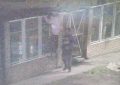 Ingresaron a una escuela de Florencio Varela y fueron detenidos