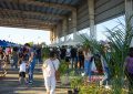 Este viernes comienza la “Fiesta de la Flor” en Florencio Varela