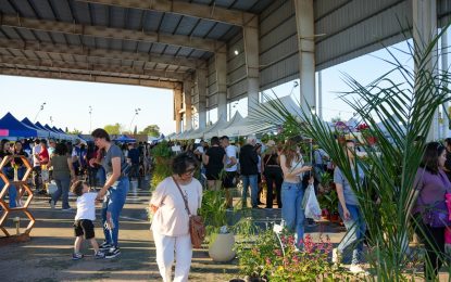 Este viernes comienza la “Fiesta de la Flor” en Florencio Varela