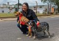 De esperar una familia a tener un hogar: la historia de Pinta y Nela